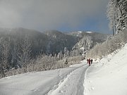 P1230012.JPG