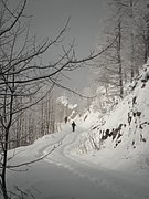 P1230017.JPG