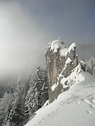 P1230020.JPG