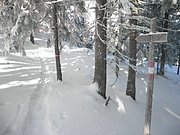 P1230025.JPG