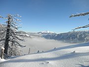 P1230037.JPG