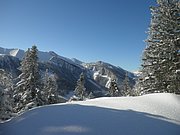 P1230040.JPG