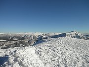 P1230072.JPG