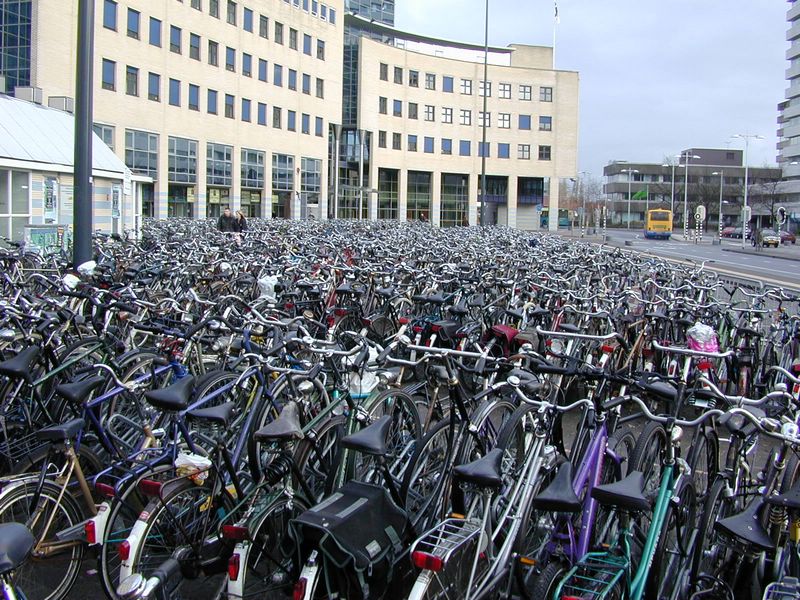 DSCN1308.JPG