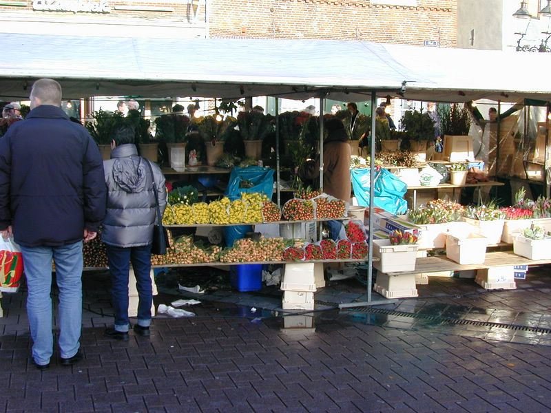 DSCN1341.JPG