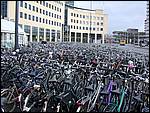 DSCN1308.JPG