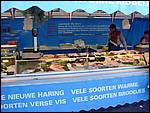 DSCN1339.JPG