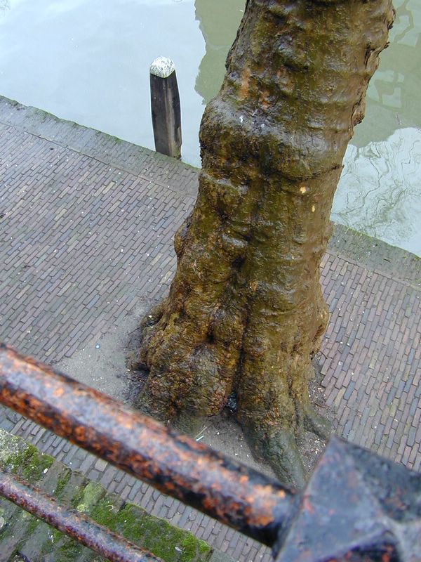 DSCN0013.JPG