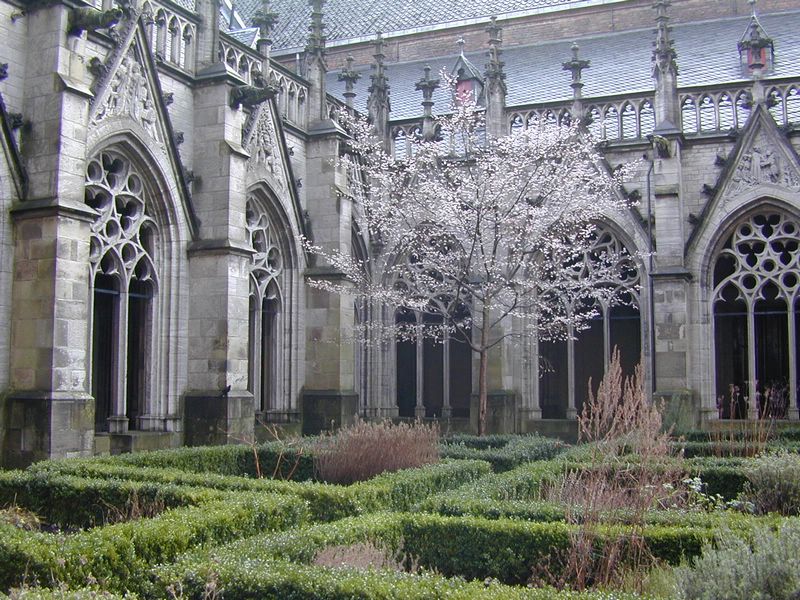 DSCN1288.JPG