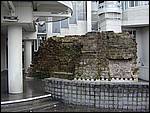 DSCN0010.JPG
