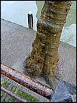 DSCN0013.JPG