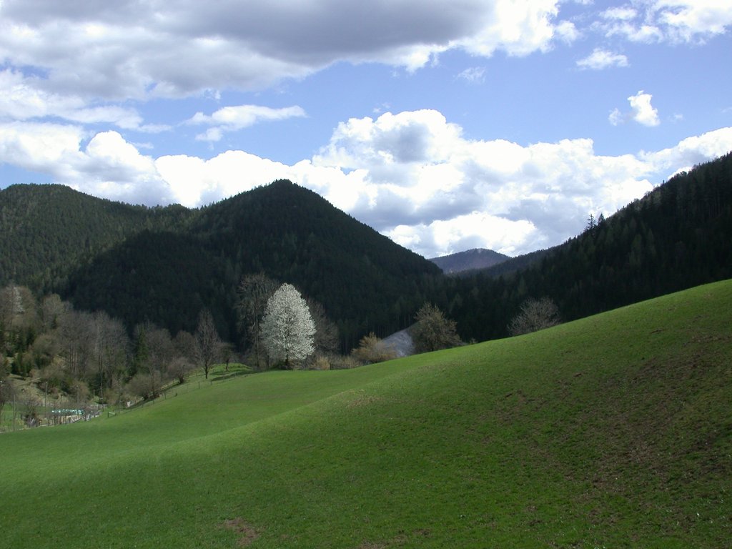 DSCN5138.JPG