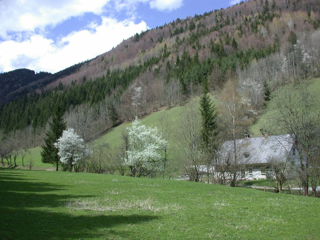 DSCN5139.JPG