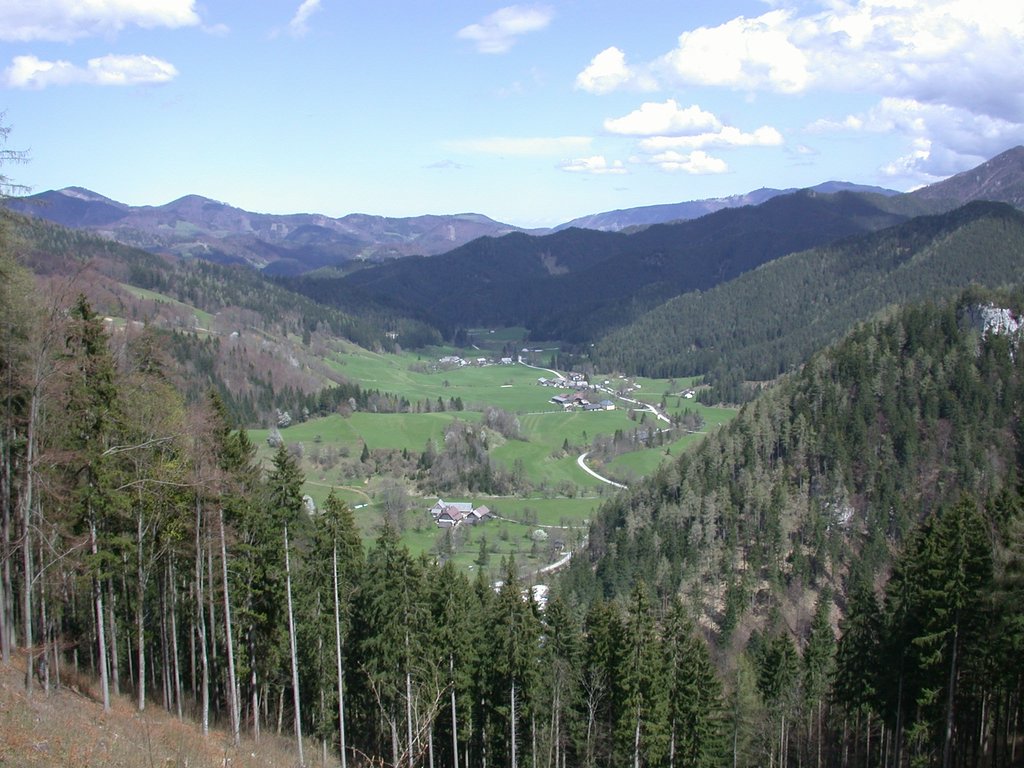 DSCN5140.JPG