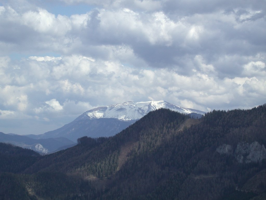 DSCN5146.JPG