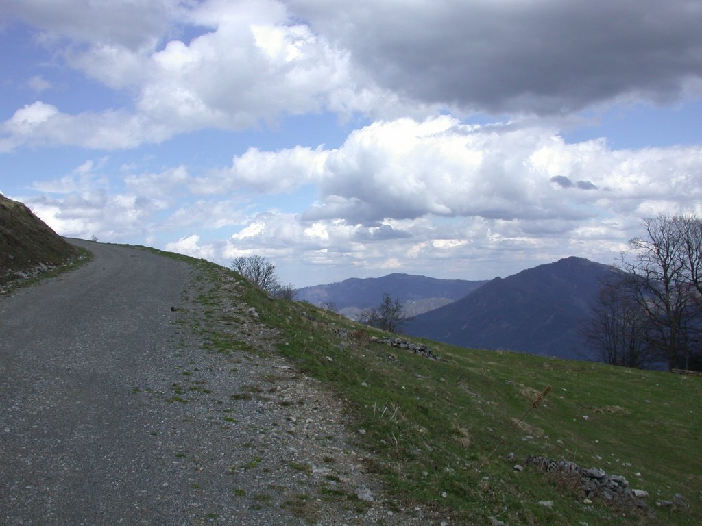 DSCN5150.JPG