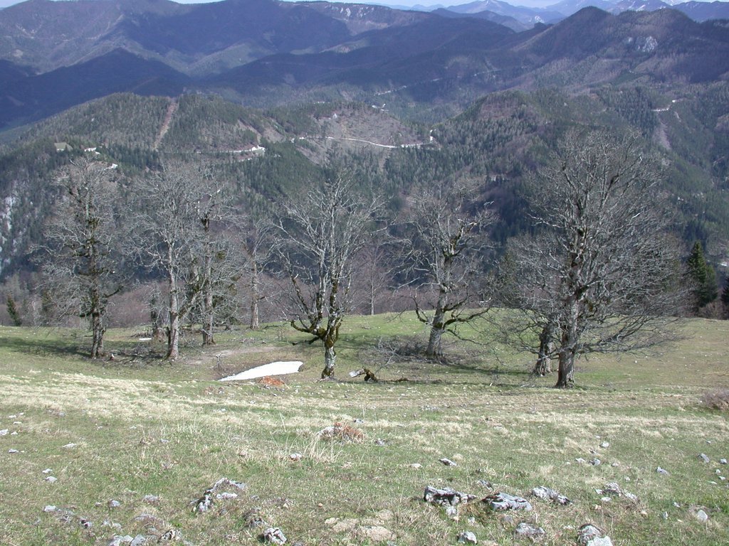DSCN5152.JPG