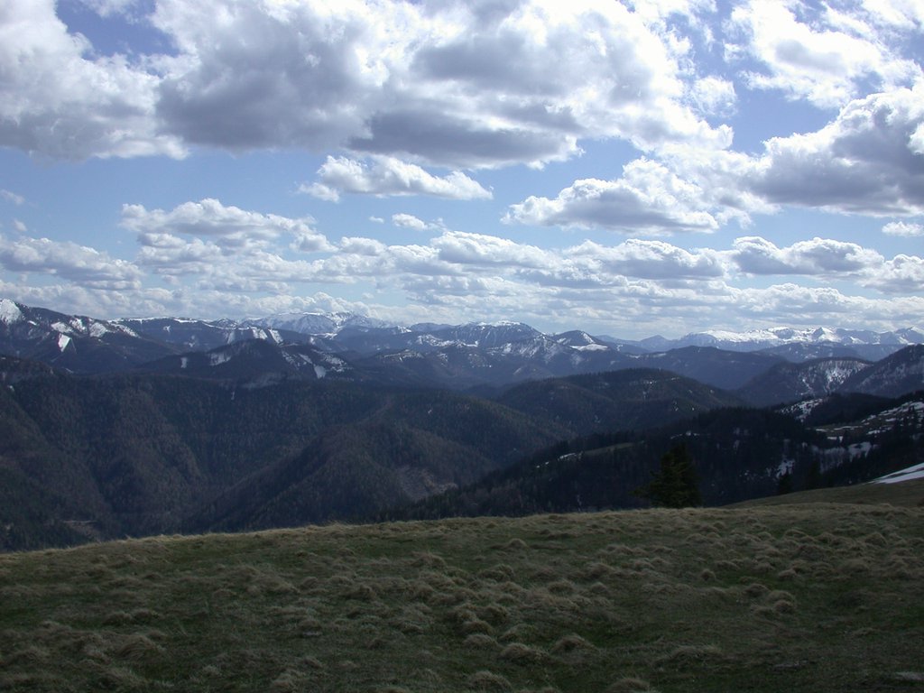 DSCN5158.JPG