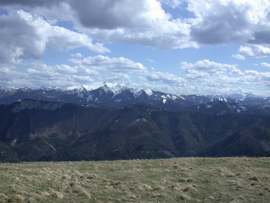 DSCN5159.JPG