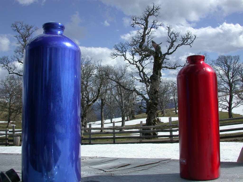 DSCN5165.JPG