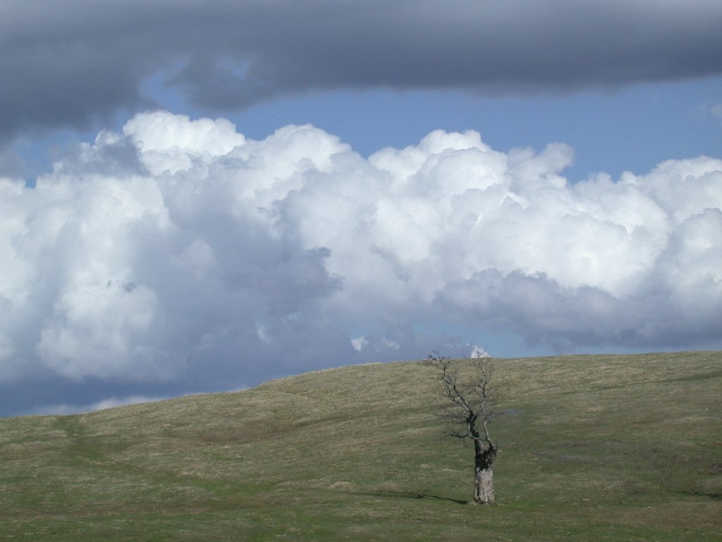 DSCN5168.JPG