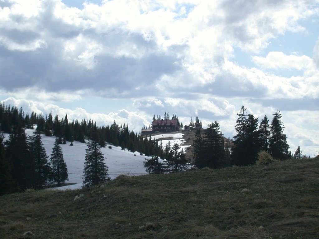 DSCN5176.JPG
