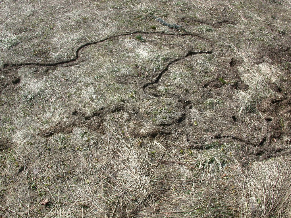 DSCN5177.JPG