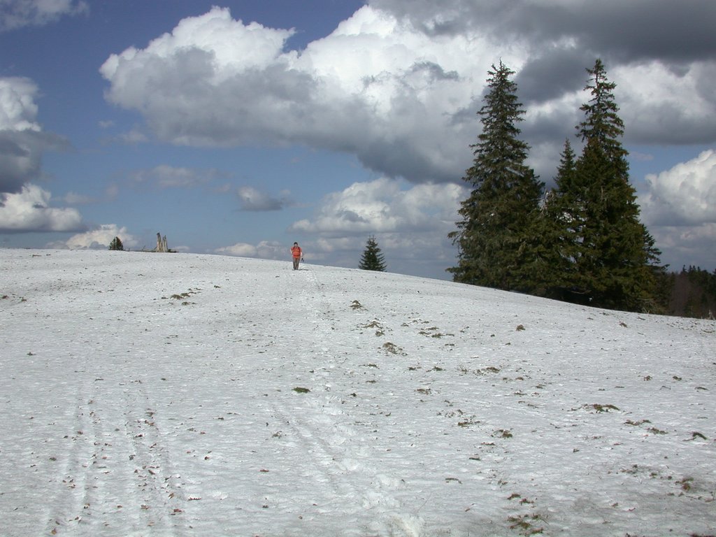 DSCN5178.JPG