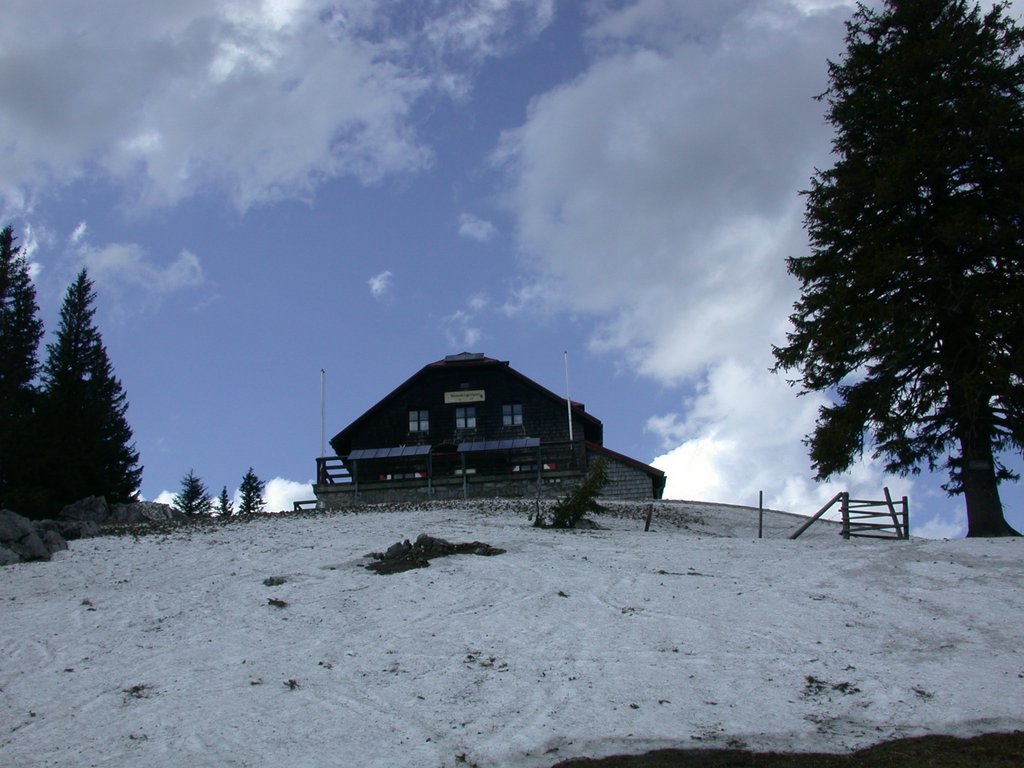 DSCN5181.JPG