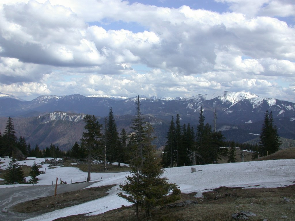 DSCN5189.JPG