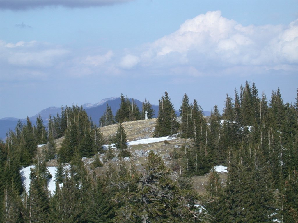 DSCN5199.JPG