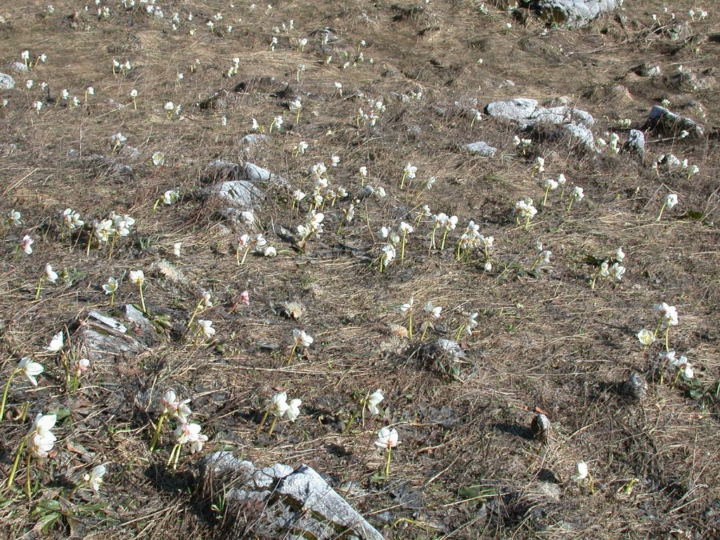 DSCN5201.JPG