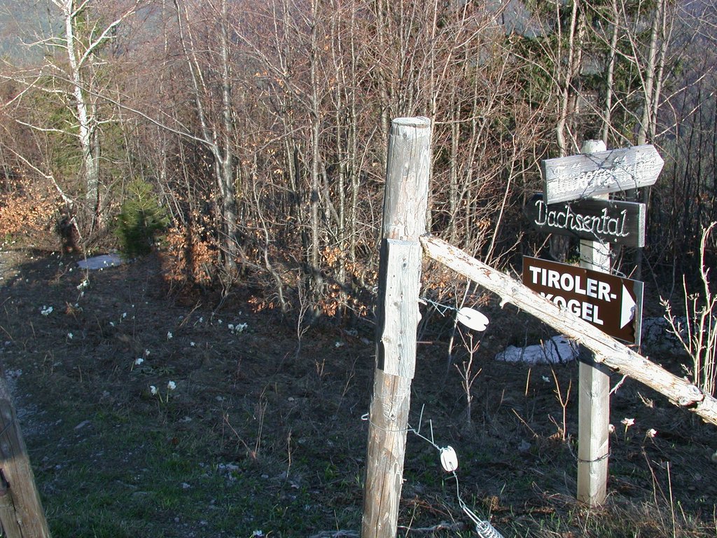 DSCN5204.JPG
