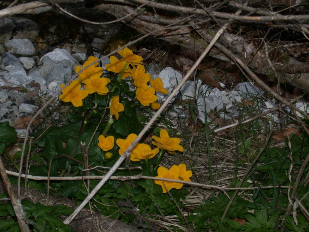 DSCN5211.JPG