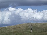 DSCN5168.JPG