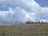 DSCN5172.JPG