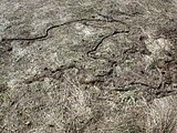 DSCN5177.JPG