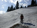 DSCN5203.JPG