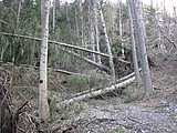DSCN5206.JPG