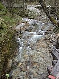 DSCN5210.JPG