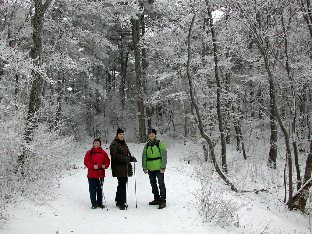 DSCN4100.JPG