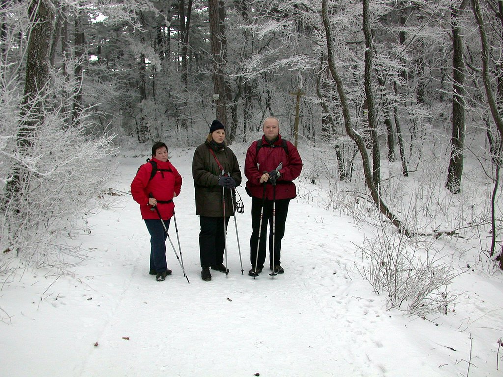 DSCN4102.JPG