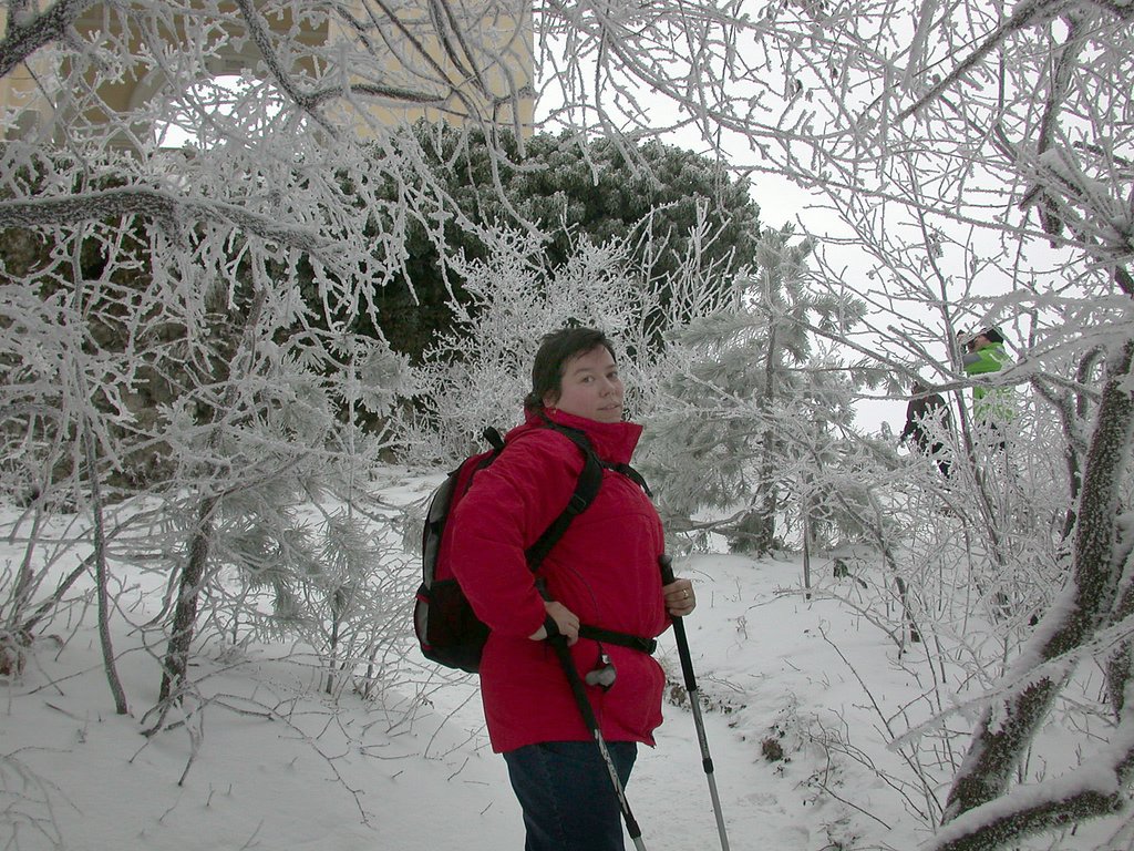 DSCN4104.JPG