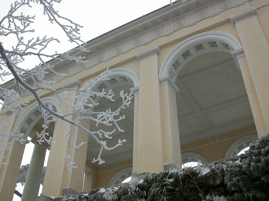 DSCN4106.JPG