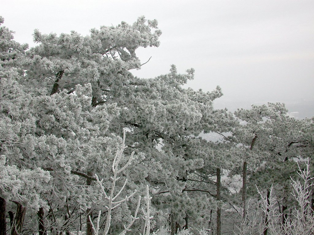 DSCN4112.JPG