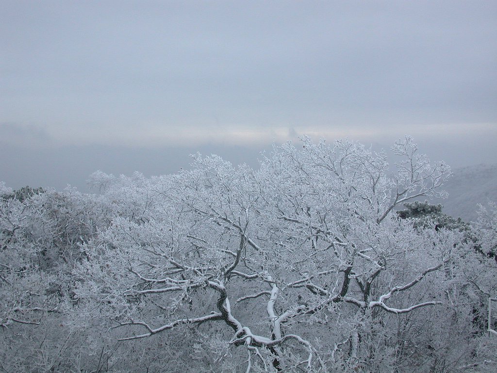 DSCN4116.JPG
