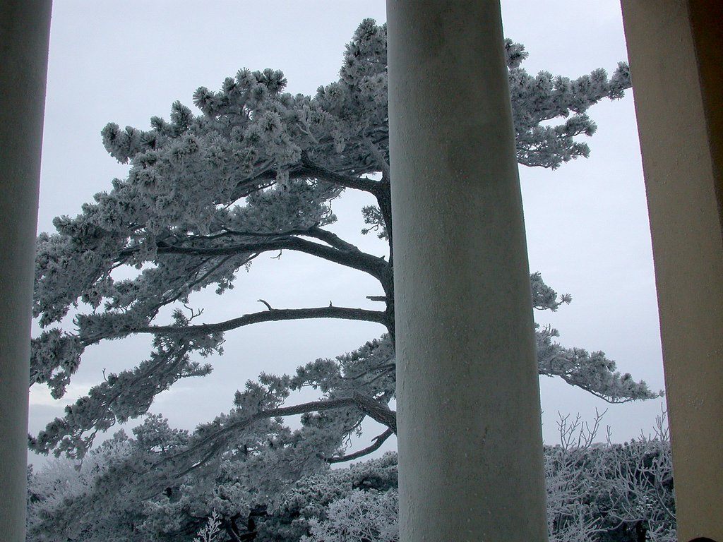 DSCN4118.JPG