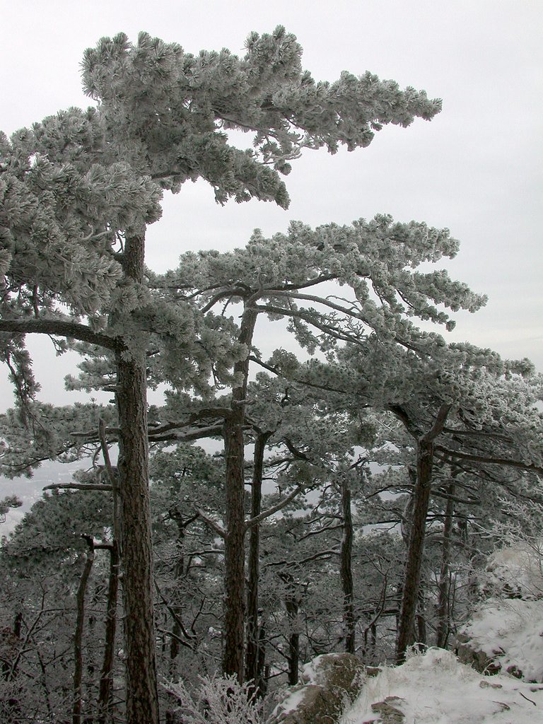 DSCN4122.JPG