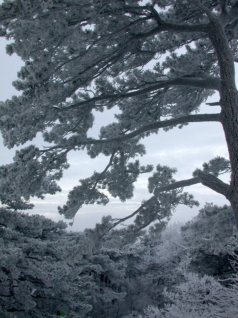 DSCN4124.JPG
