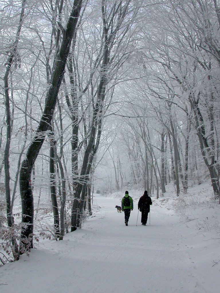 DSCN4128.JPG
